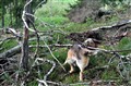 Bild345.jpg