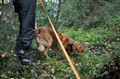 Bild380.jpg