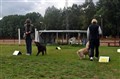 Bild 029.jpg