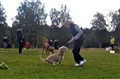 Bild 045.jpg