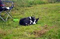 Bild 046.jpg