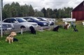 Bild 057.jpg