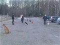 DSC00350.jpg