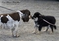 DSCN10601.jpg