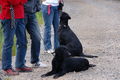 DSC_1966.jpg