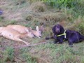 IMGP0491.JPG