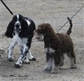 IMG_0424.jpg