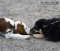 IMG_0466.jpg