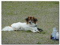 Mina bilder_010.jpg