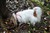 Bild363.jpg