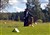 Bild 079.jpg