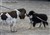 DSCN10601.jpg