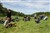 DSC_0046.JPG
