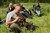 DSC_0050.JPG