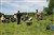 DSC_0054_JPG-for-web-normal.jpg