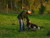 IMGP0624.jpg